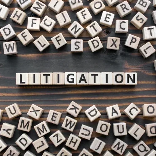 Litigation Services